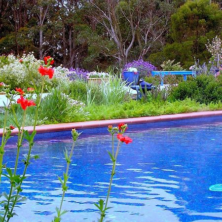 Lemonade Creek Cottages Lorne Kültér fotó