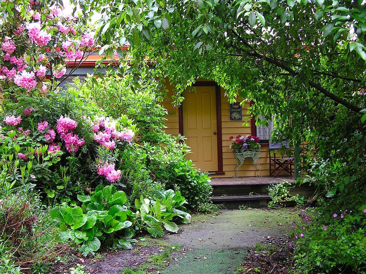 Lemonade Creek Cottages Lorne Kültér fotó