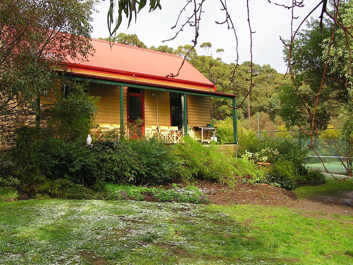 Lemonade Creek Cottages Lorne Kültér fotó