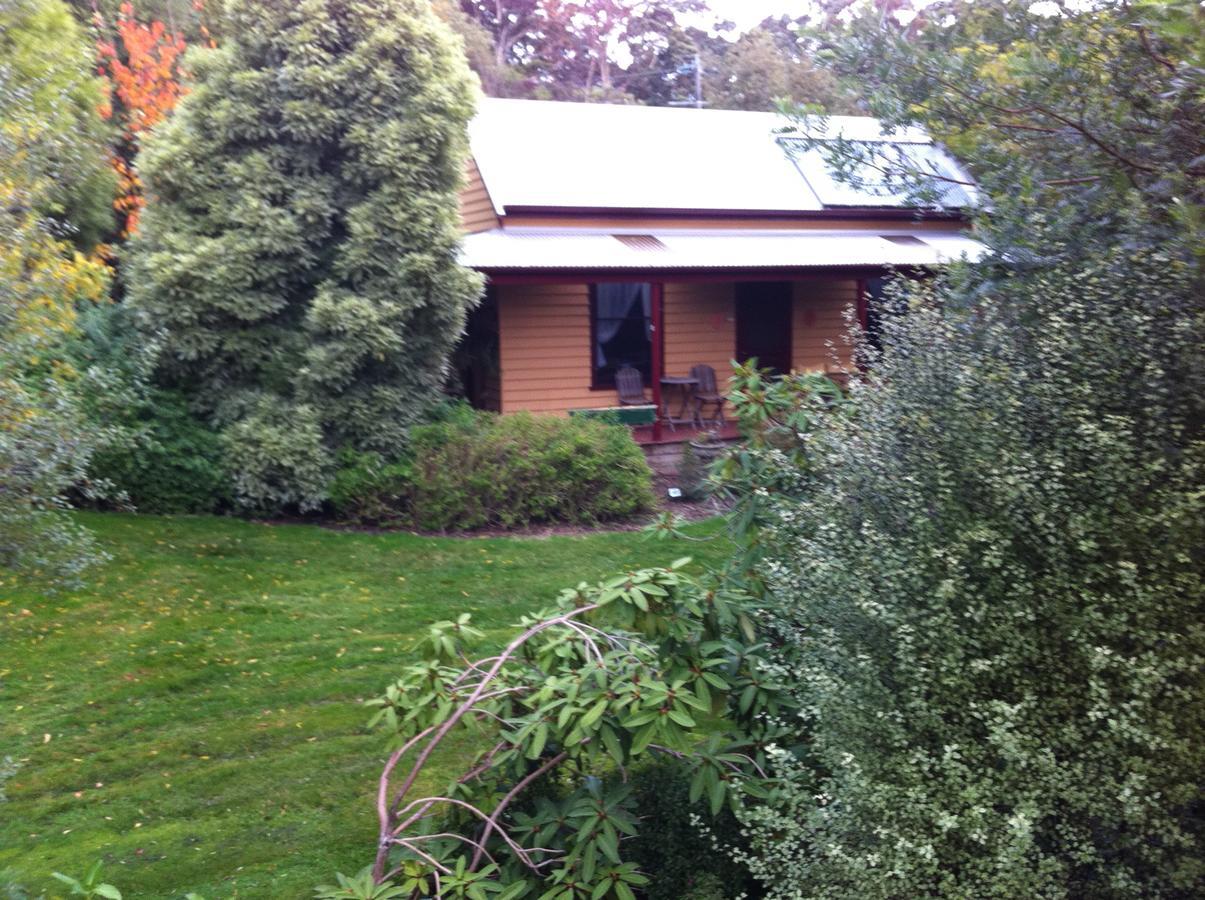 Lemonade Creek Cottages Lorne Kültér fotó