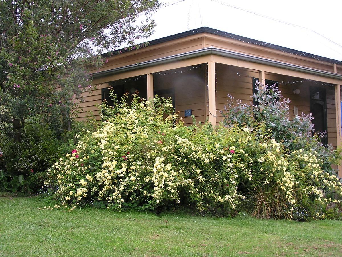 Lemonade Creek Cottages Lorne Kültér fotó