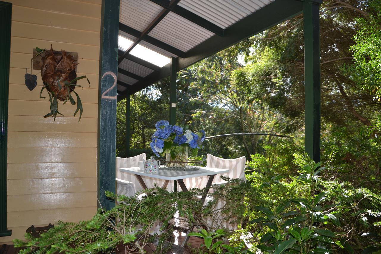 Lemonade Creek Cottages Lorne Kültér fotó