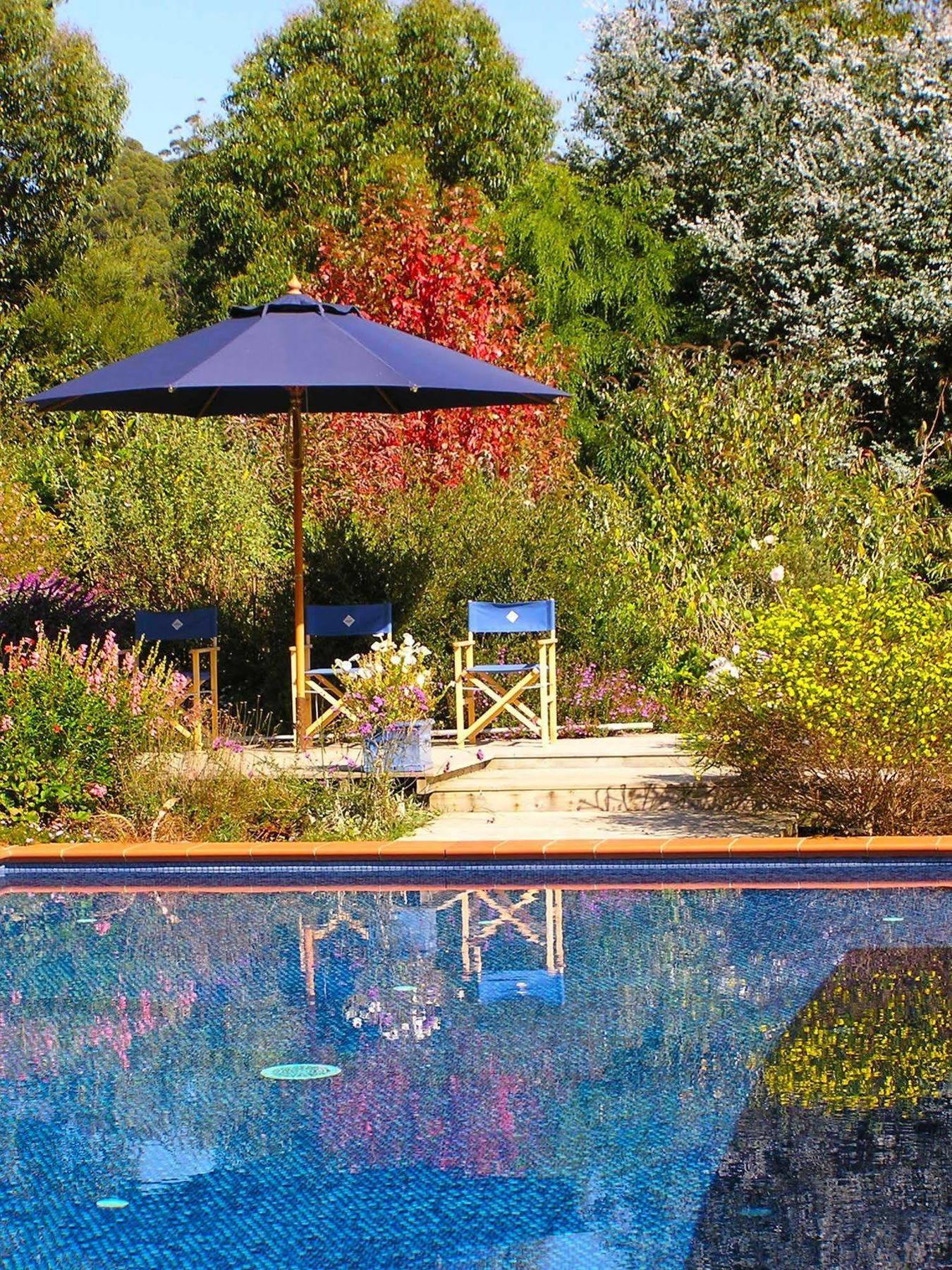 Lemonade Creek Cottages Lorne Kültér fotó