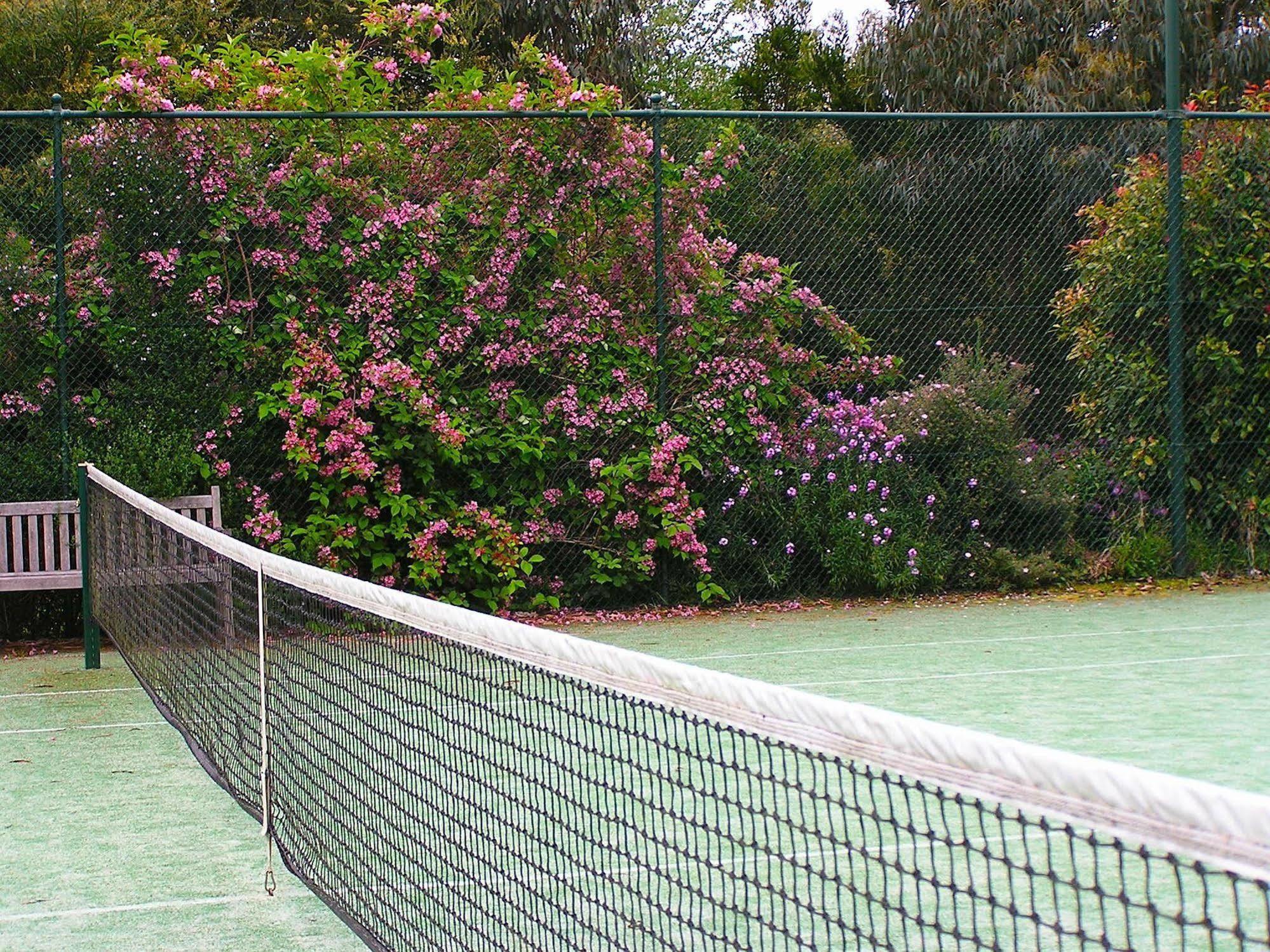 Lemonade Creek Cottages Lorne Kültér fotó