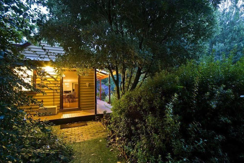 Lemonade Creek Cottages Lorne Kültér fotó