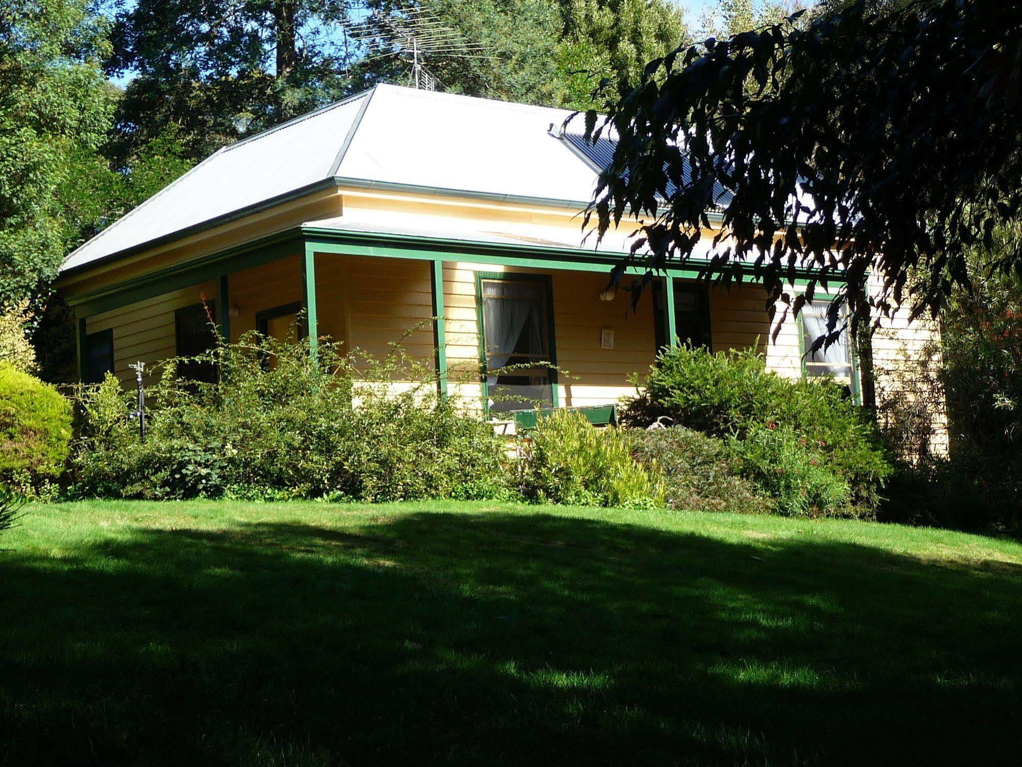 Lemonade Creek Cottages Lorne Kültér fotó