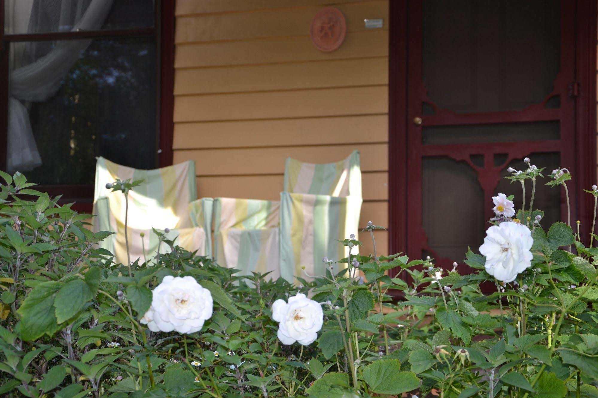 Lemonade Creek Cottages Lorne Kültér fotó
